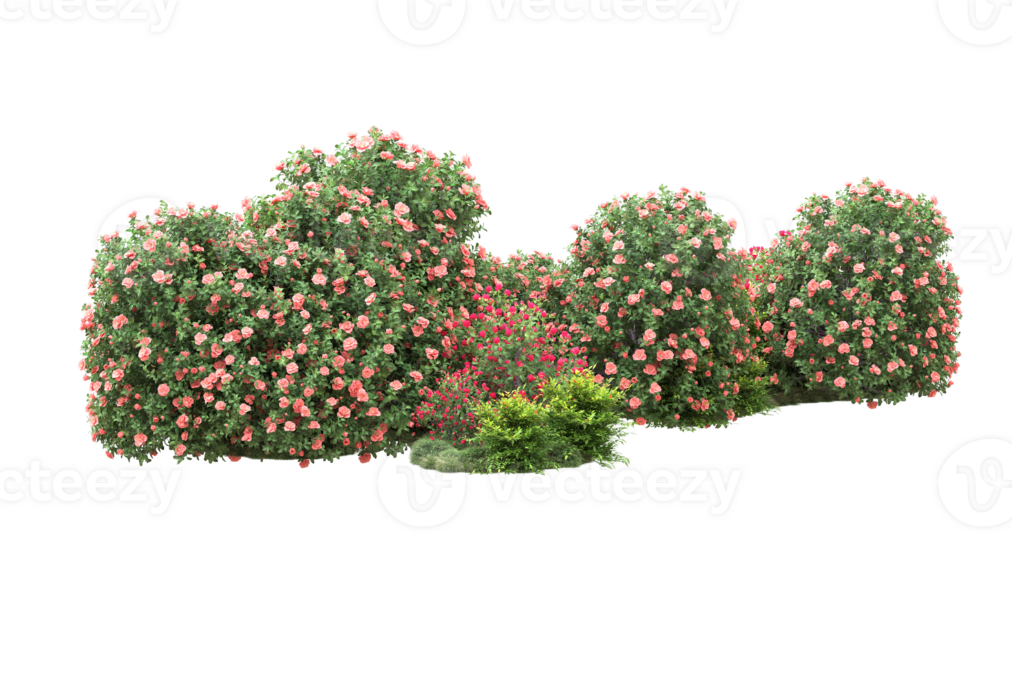 Realistic forest isolated on transparent background. 3d rendering - illustration png