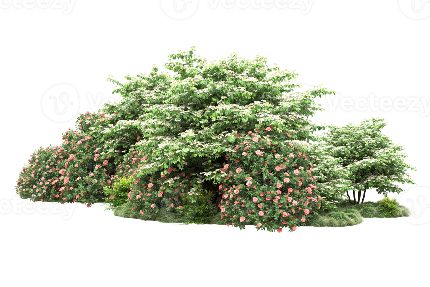 Realistic forest isolated on transparent background. 3d rendering - illustration png