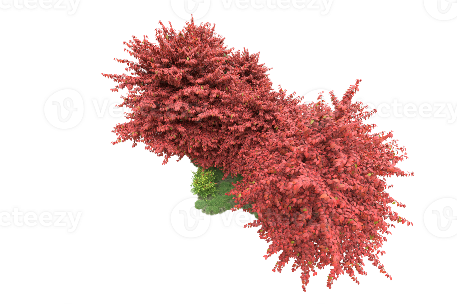 Realistic forest isolated on transparent background. 3d rendering - illustration png