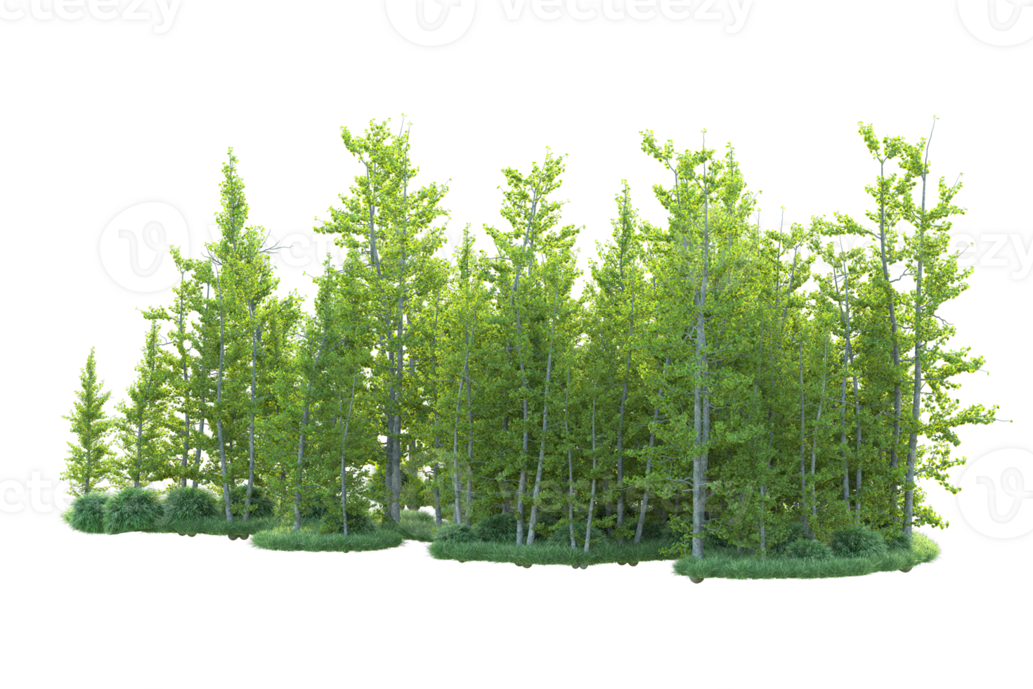 Tropical forest isolated on transparent background. 3d rendering - illustration png