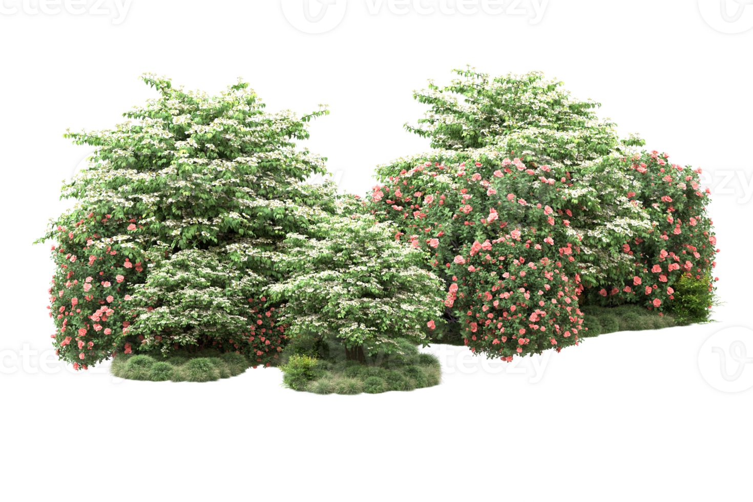 Realistic forest isolated on transparent background. 3d rendering - illustration png