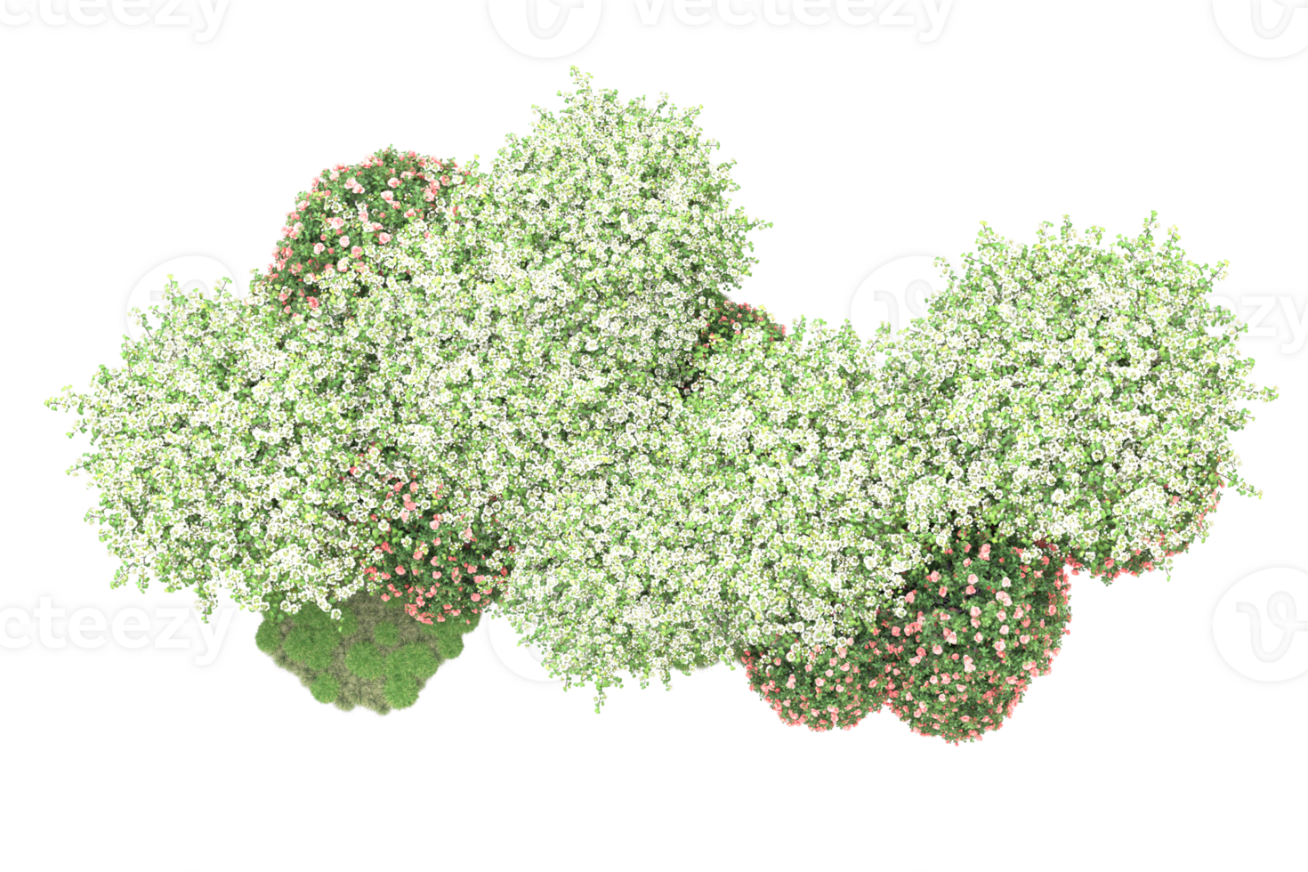 Realistic forest isolated on transparent background. 3d rendering - illustration png