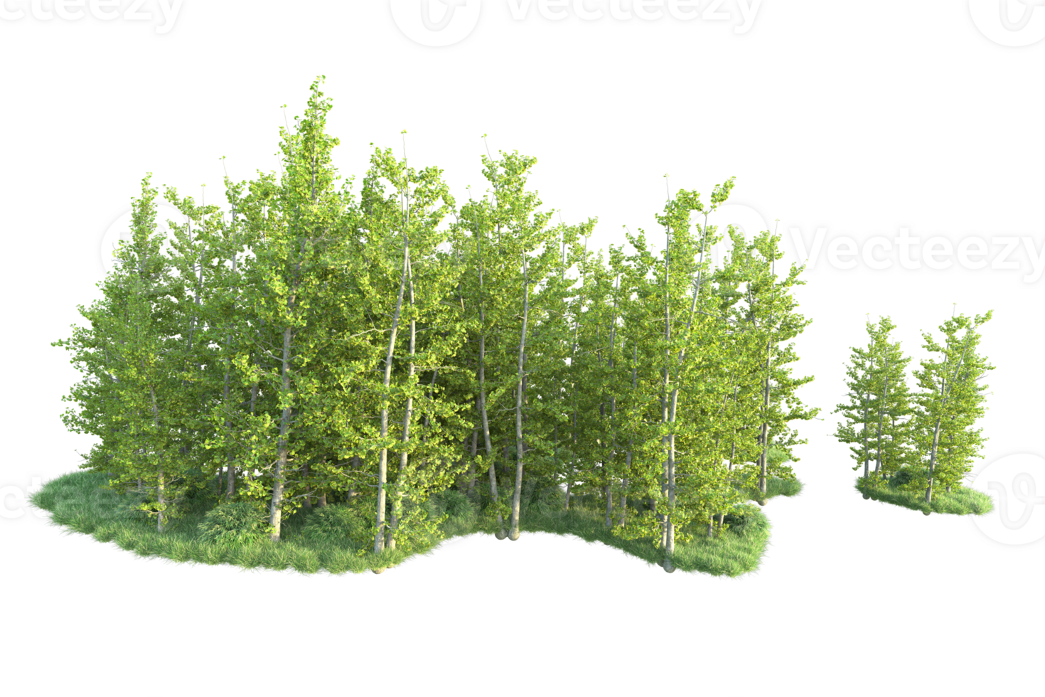 Tropical forest isolated on transparent background. 3d rendering - illustration png