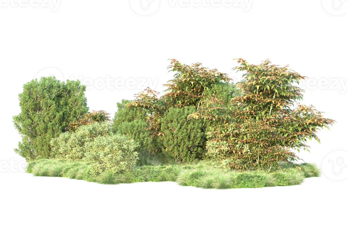 Tropical forest isolated on transparent background. 3d rendering - illustration png