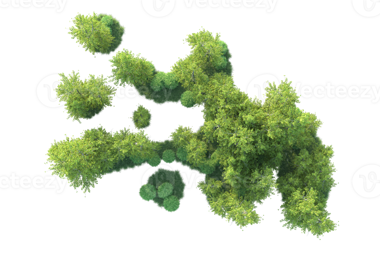 Tropical forest isolated on transparent background. 3d rendering - illustration png