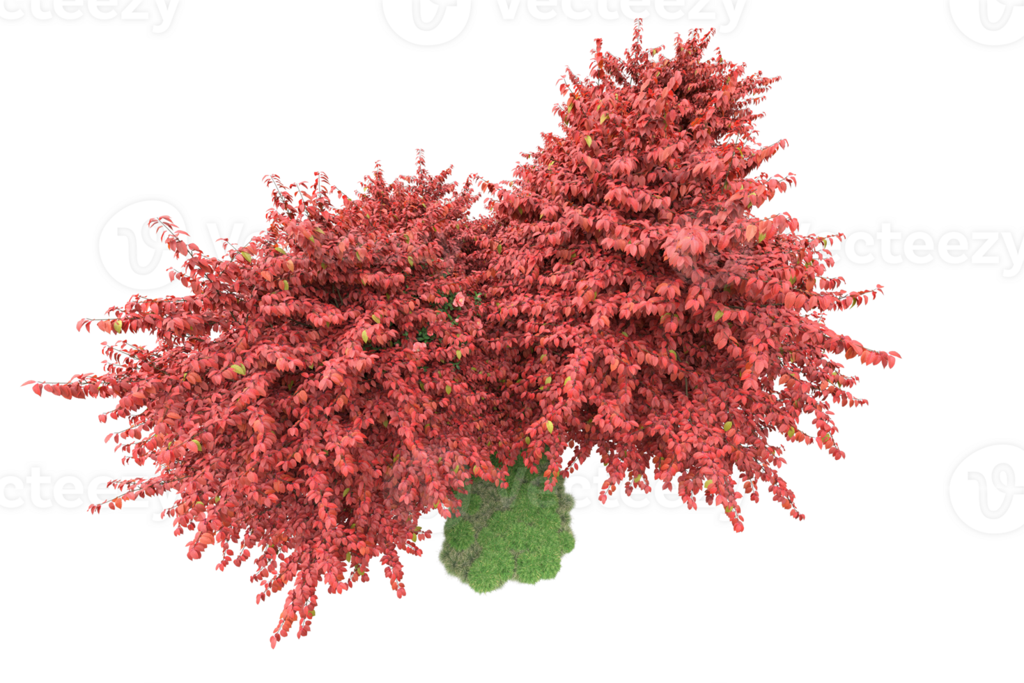 Realistic forest isolated on transparent background. 3d rendering - illustration png