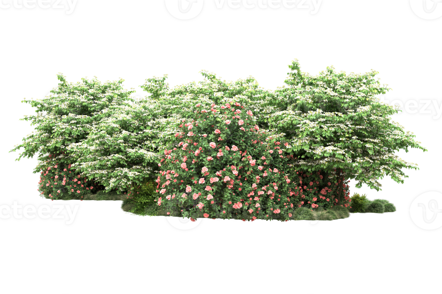 Realistic forest isolated on transparent background. 3d rendering - illustration png