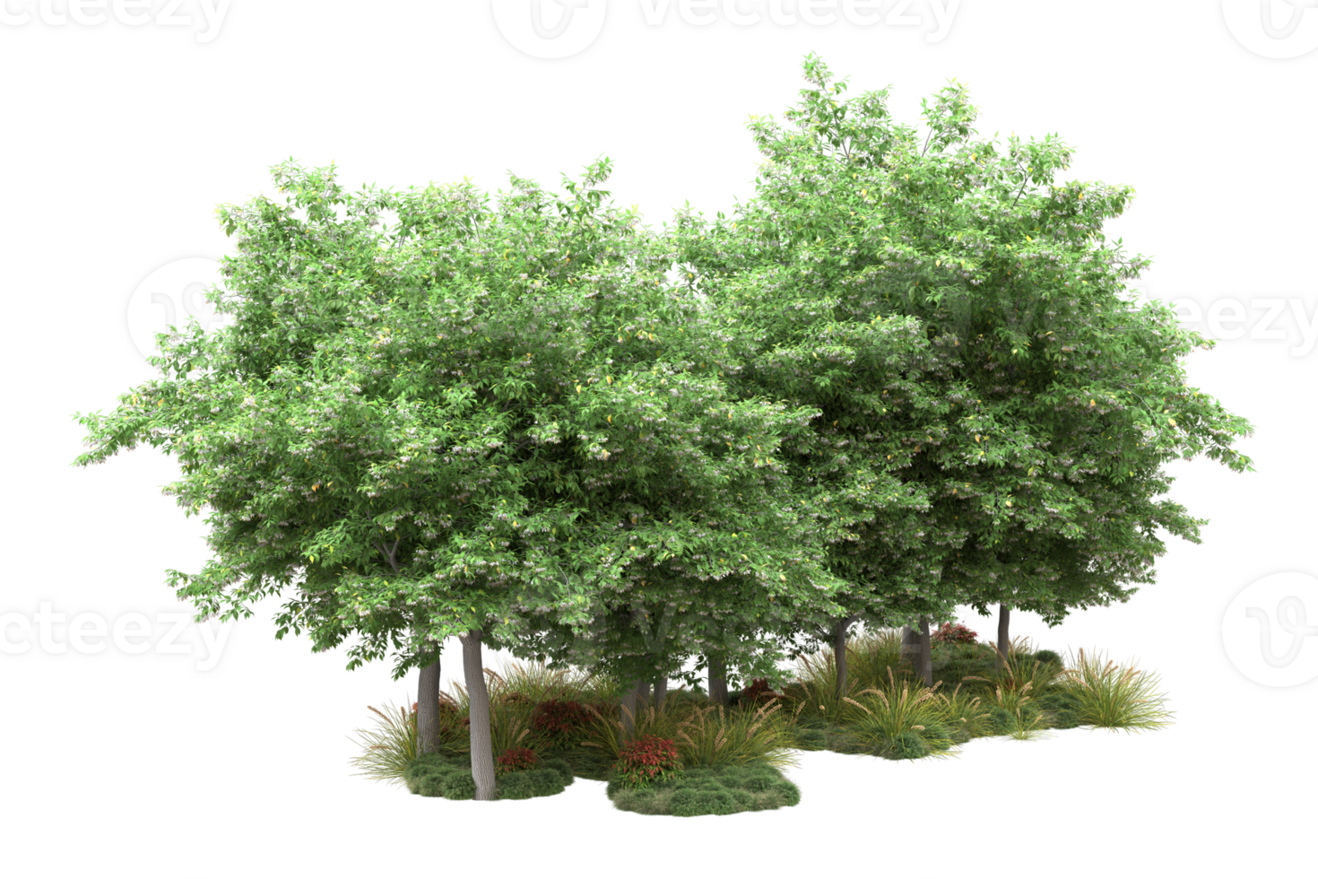 Realistic forest isolated on transparent background. 3d rendering - illustration png