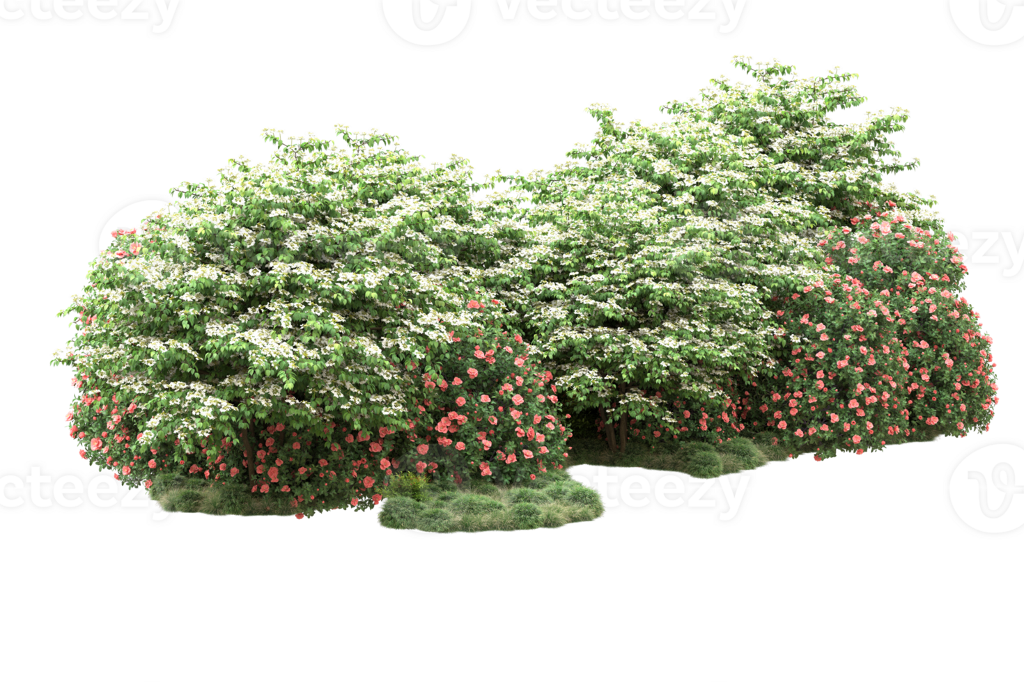 Realistic forest isolated on transparent background. 3d rendering - illustration png