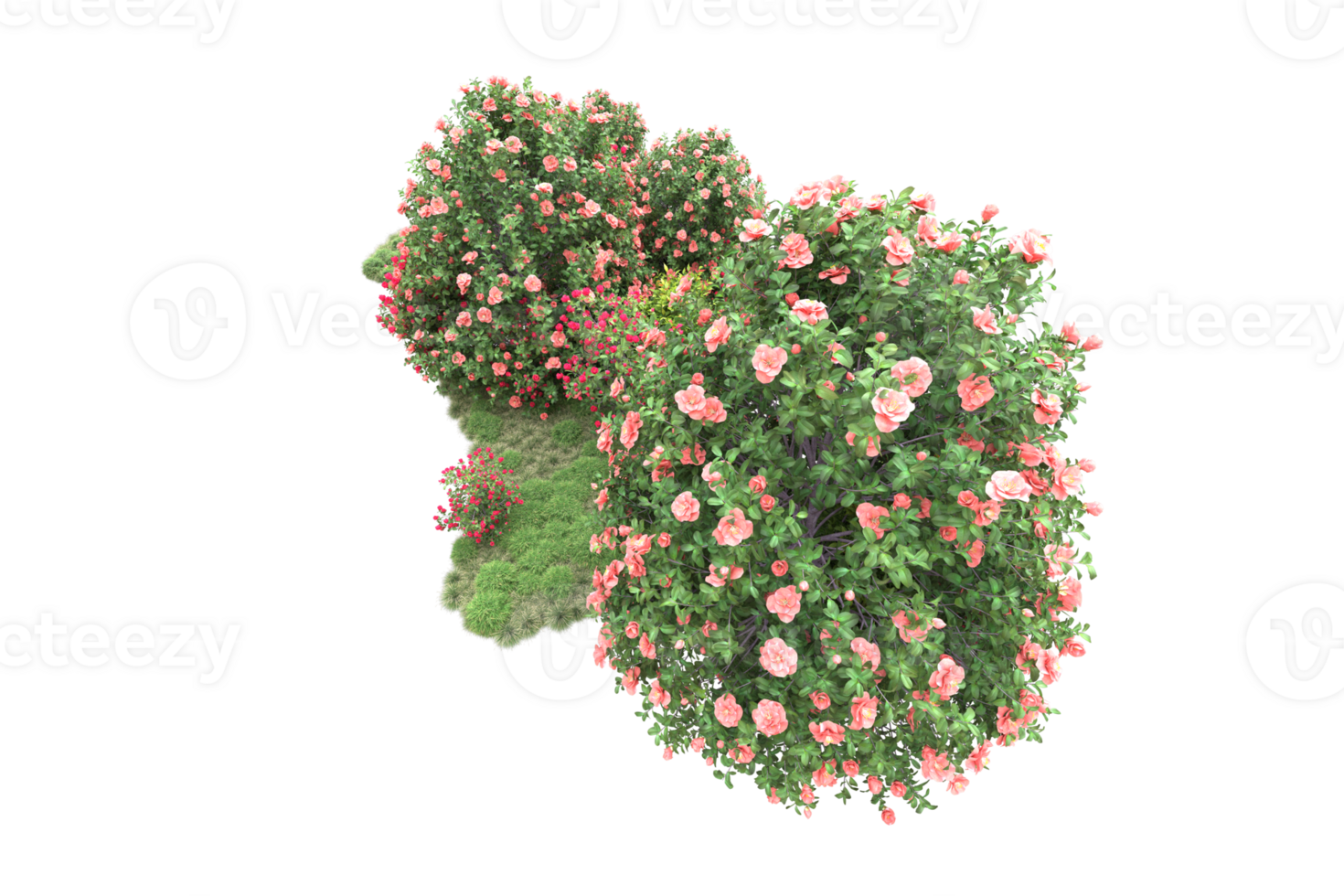 Realistic forest isolated on transparent background. 3d rendering - illustration png