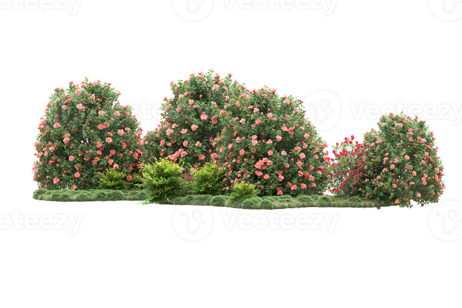 Realistic forest isolated on transparent background. 3d rendering - illustration png