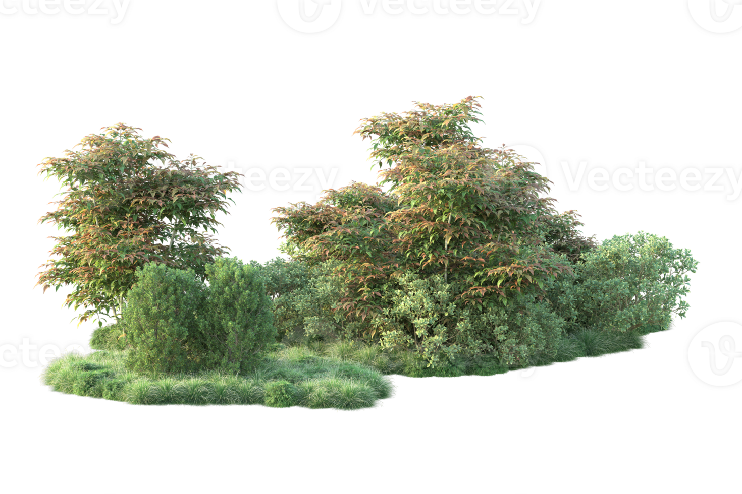 Tropical forest isolated on transparent background. 3d rendering - illustration png