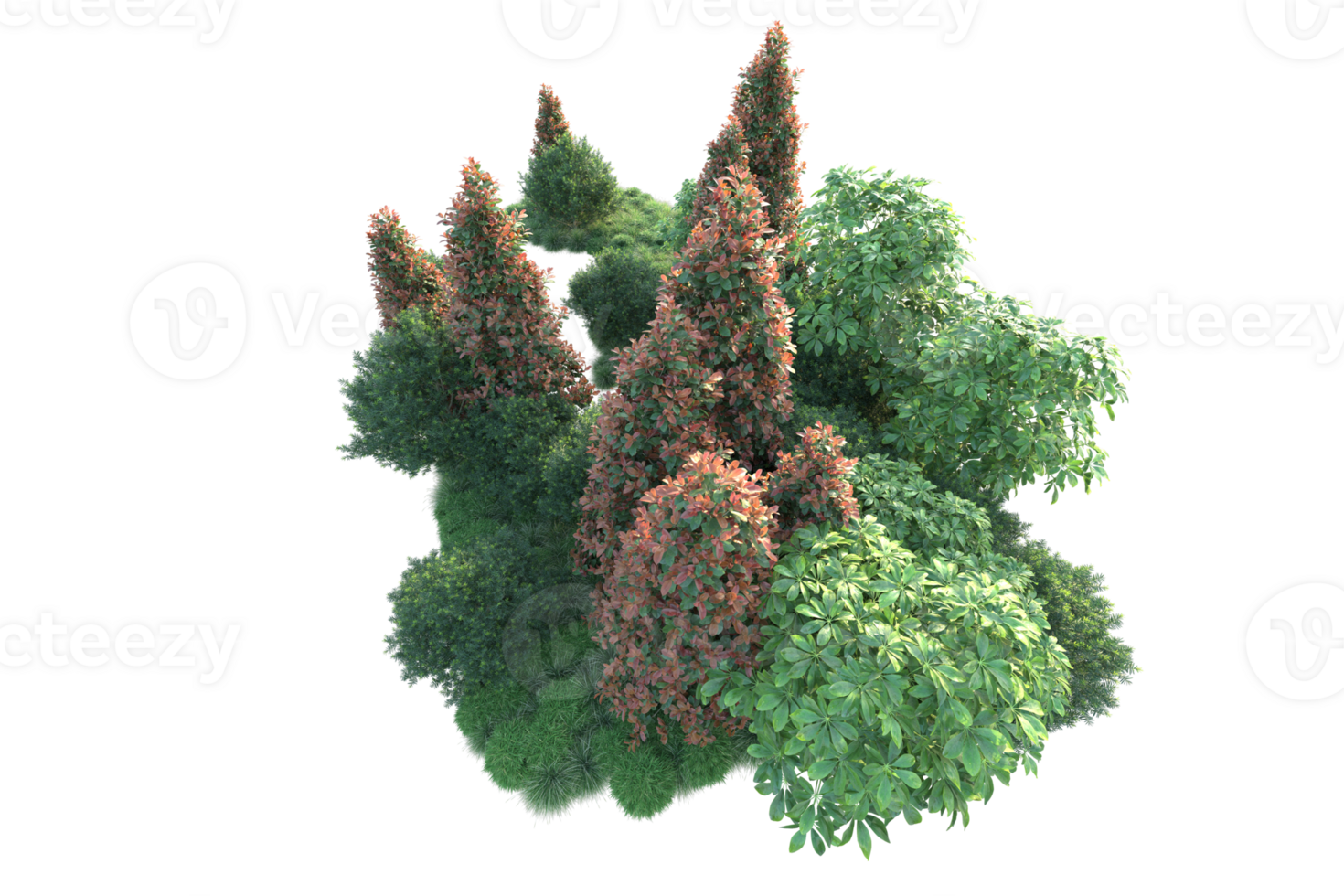 Realistic forest isolated on transparent background. 3d rendering - illustration png