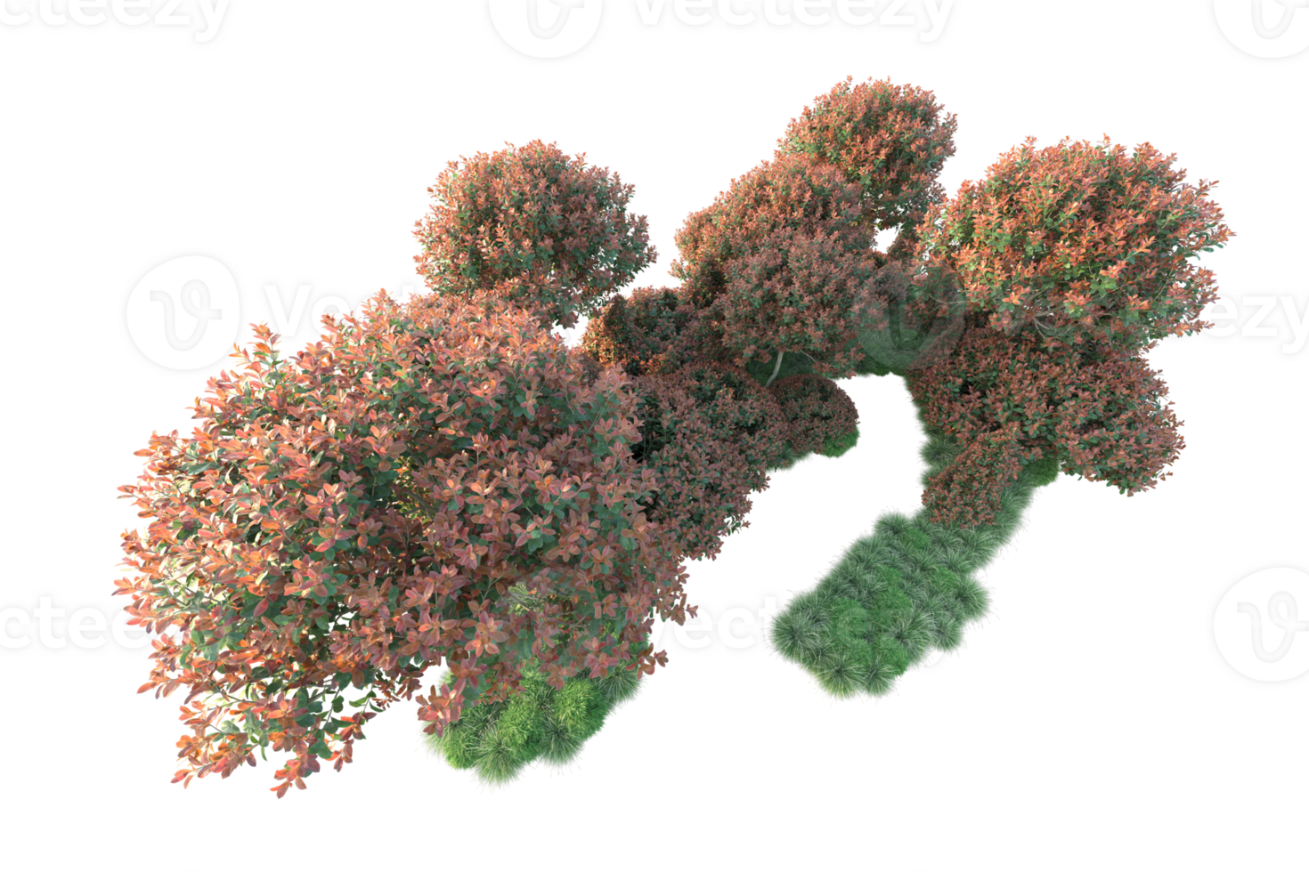 Realistic forest isolated on transparent background. 3d rendering - illustration png