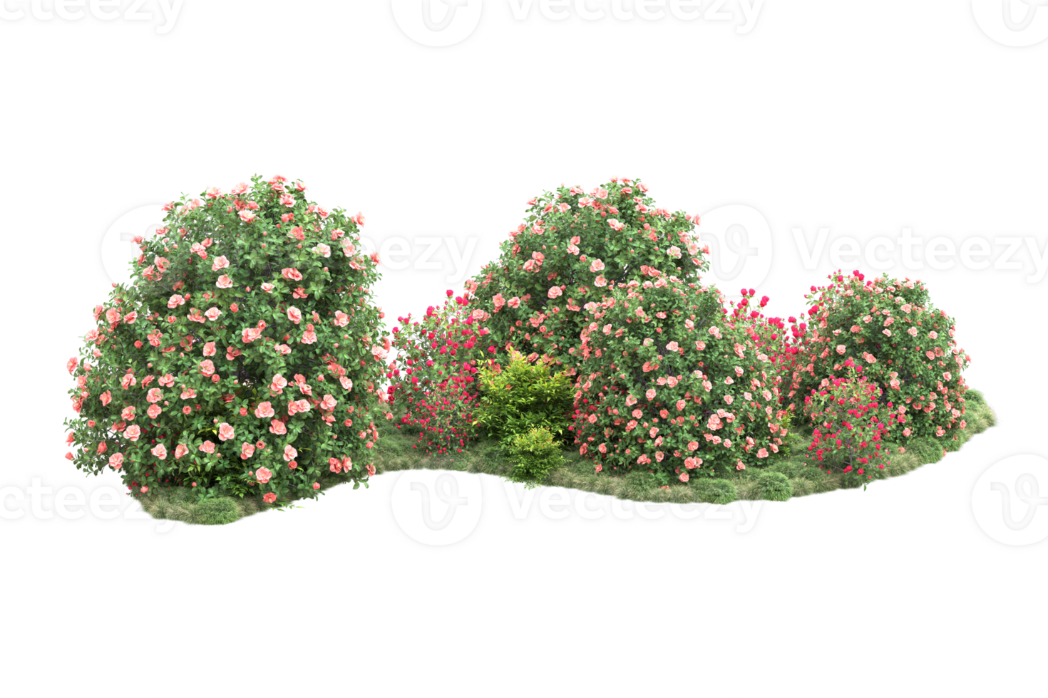 Realistic forest isolated on transparent background. 3d rendering - illustration png