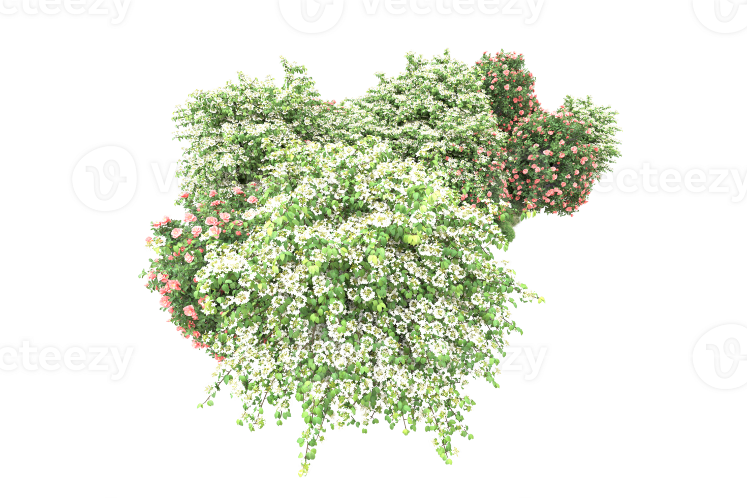 Realistic forest isolated on transparent background. 3d rendering - illustration png