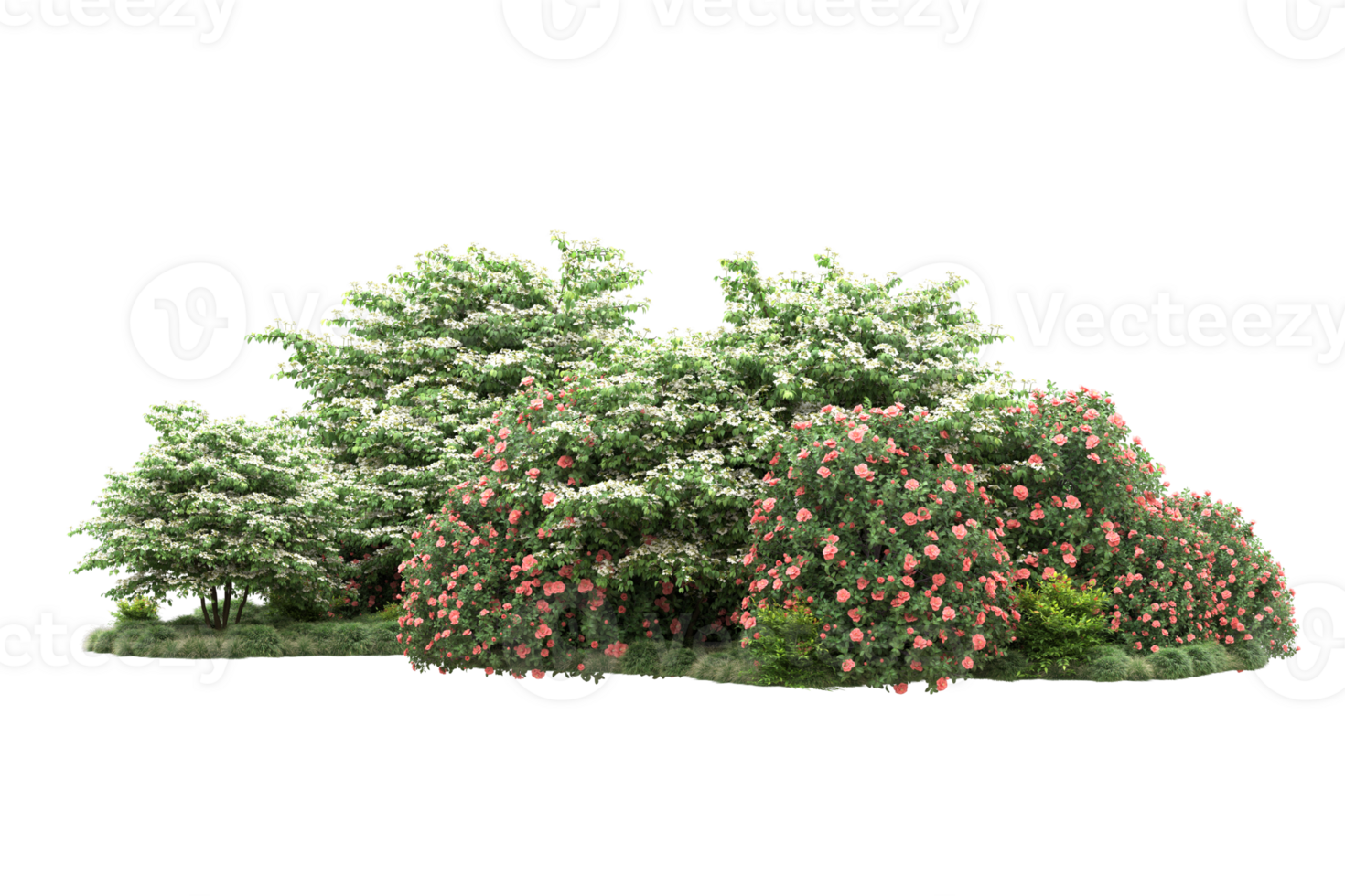 Realistic forest isolated on transparent background. 3d rendering - illustration png