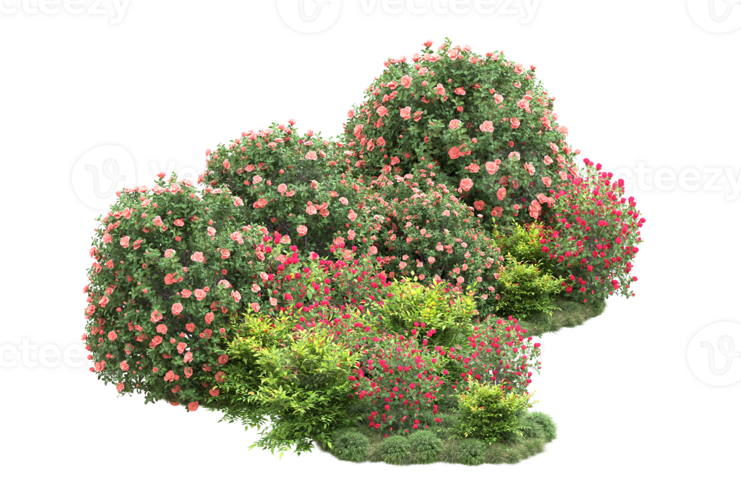 Realistic forest isolated on transparent background. 3d rendering - illustration png