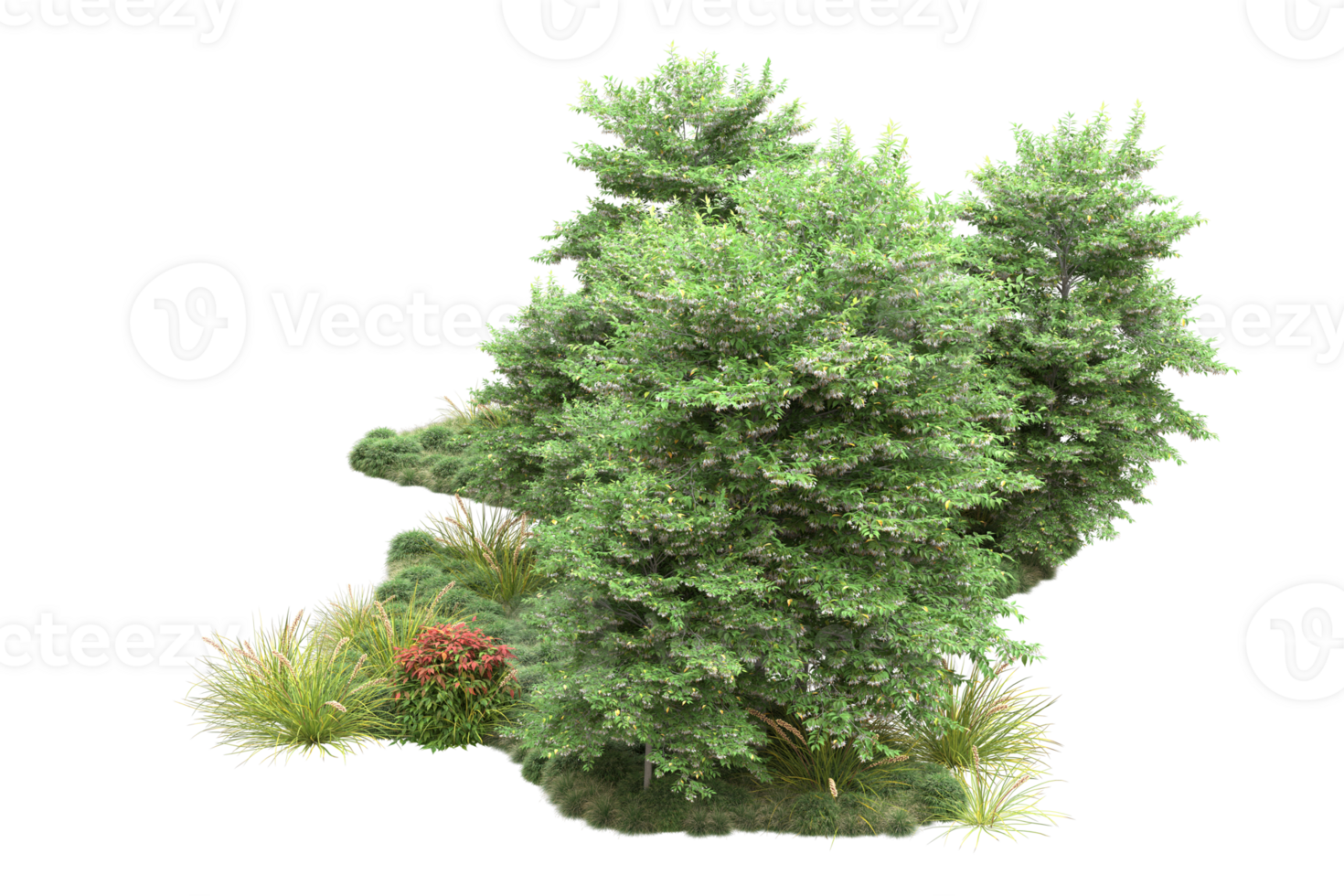 Realistic forest isolated on transparent background. 3d rendering - illustration png