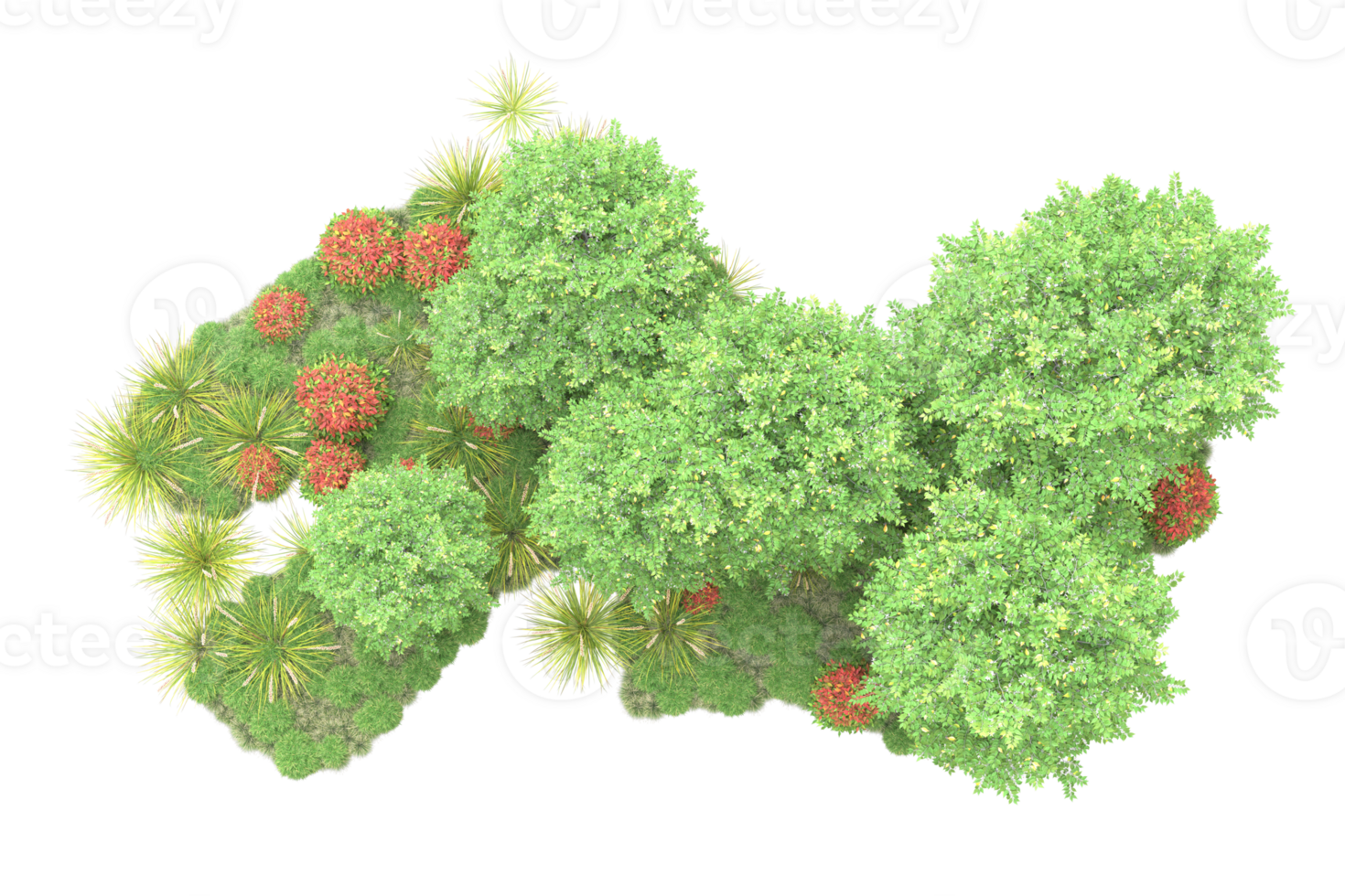 Realistic forest isolated on transparent background. 3d rendering - illustration png