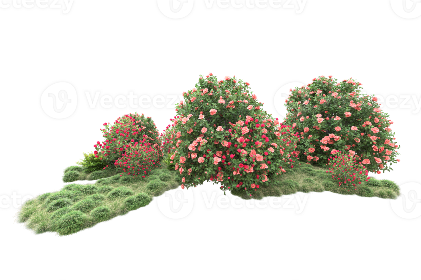 Realistic forest isolated on transparent background. 3d rendering - illustration png