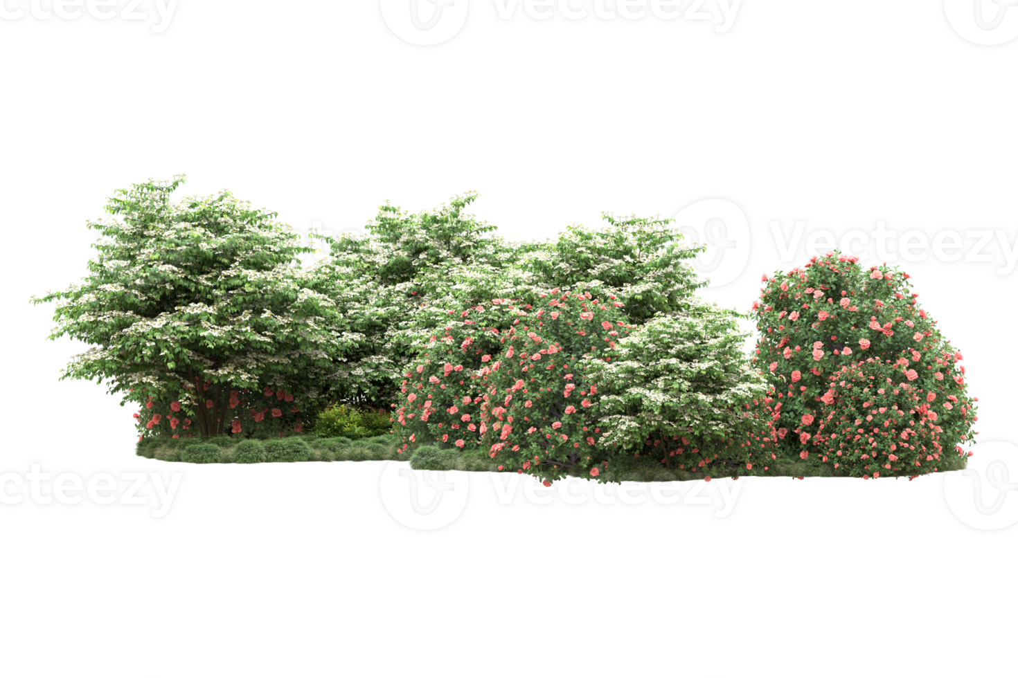 Realistic forest isolated on transparent background. 3d rendering - illustration png