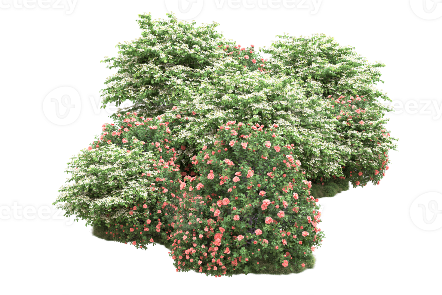 Realistic forest isolated on transparent background. 3d rendering - illustration png