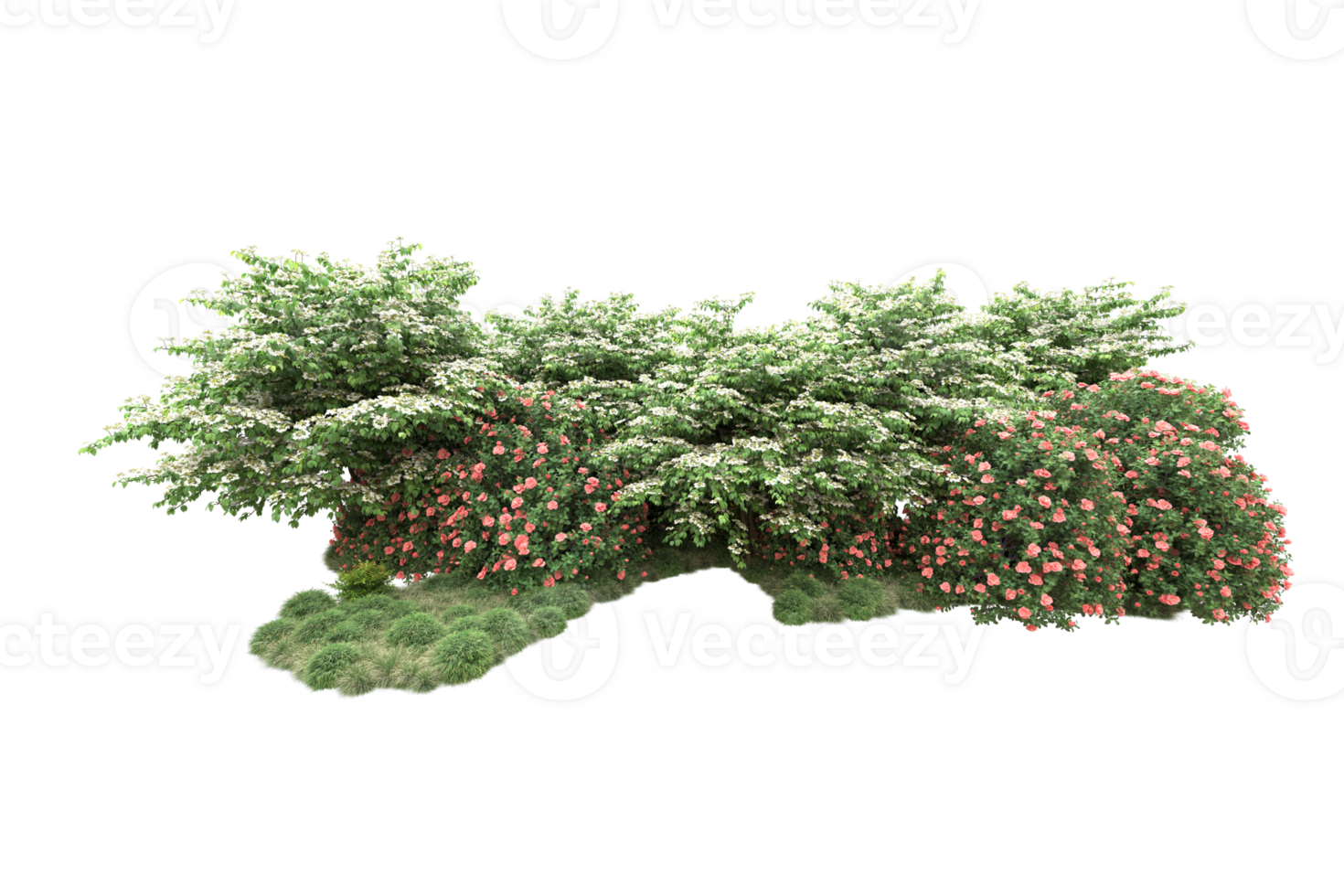 Realistic forest isolated on transparent background. 3d rendering - illustration png