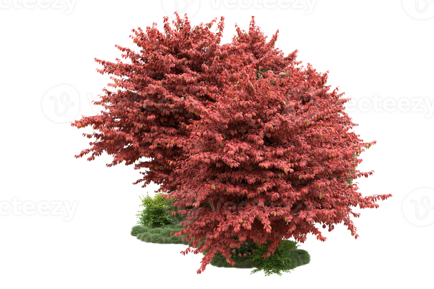 Realistic forest isolated on transparent background. 3d rendering - illustration png
