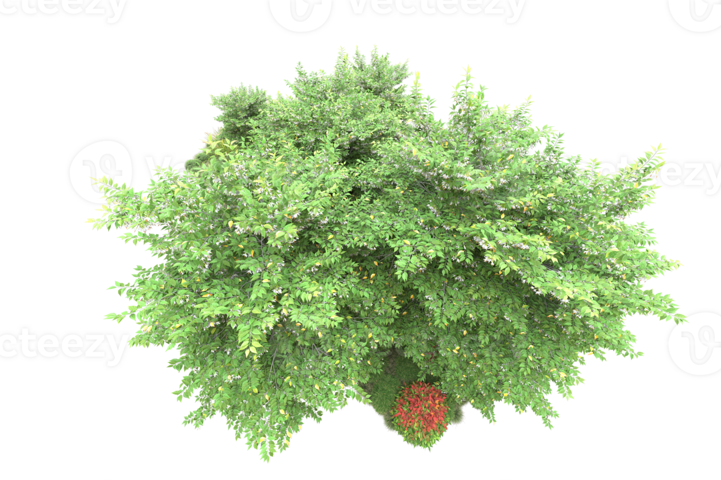 Realistic forest isolated on transparent background. 3d rendering - illustration png