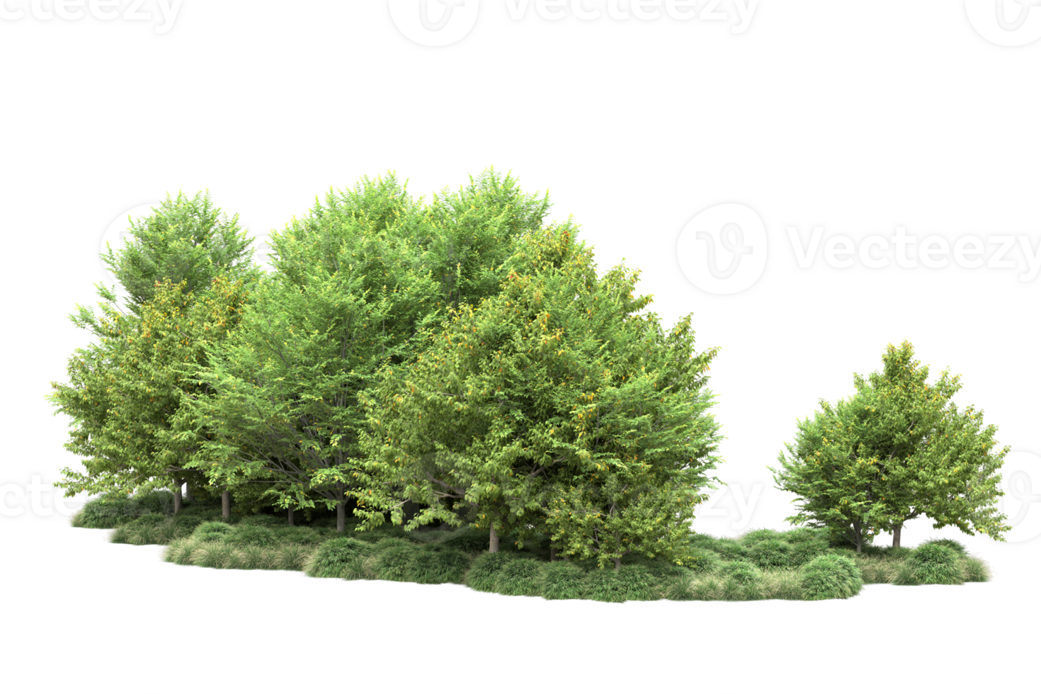 Tropical forest isolated on transparent background. 3d rendering - illustration png