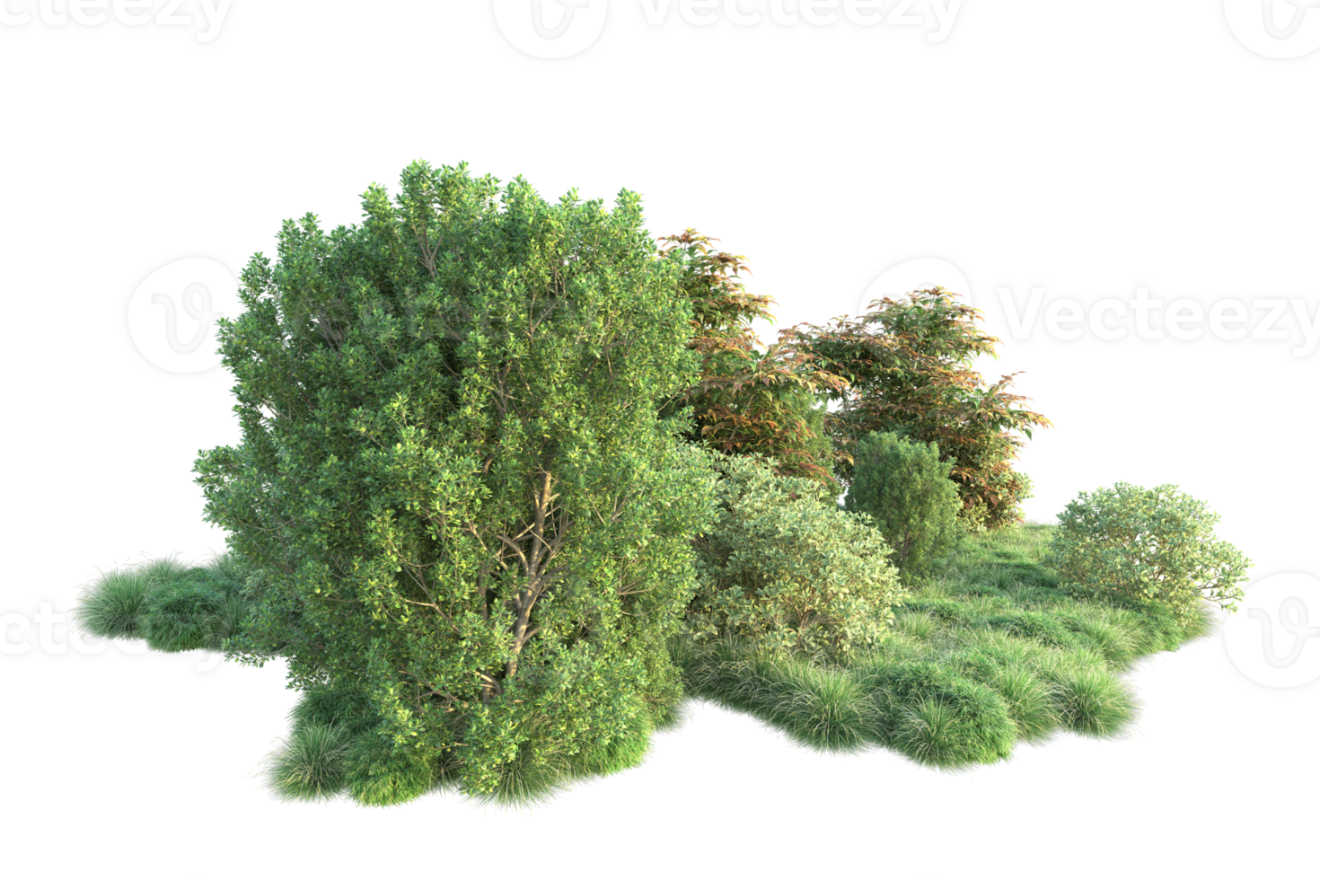 Tropical forest isolated on transparent background. 3d rendering - illustration png