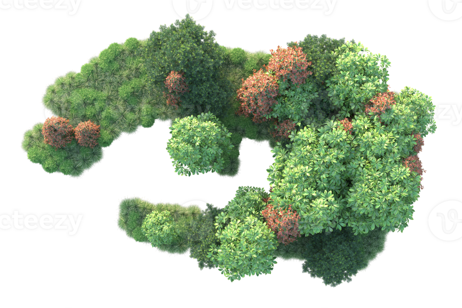 Tropical forest isolated on transparent background. 3d rendering - illustration png