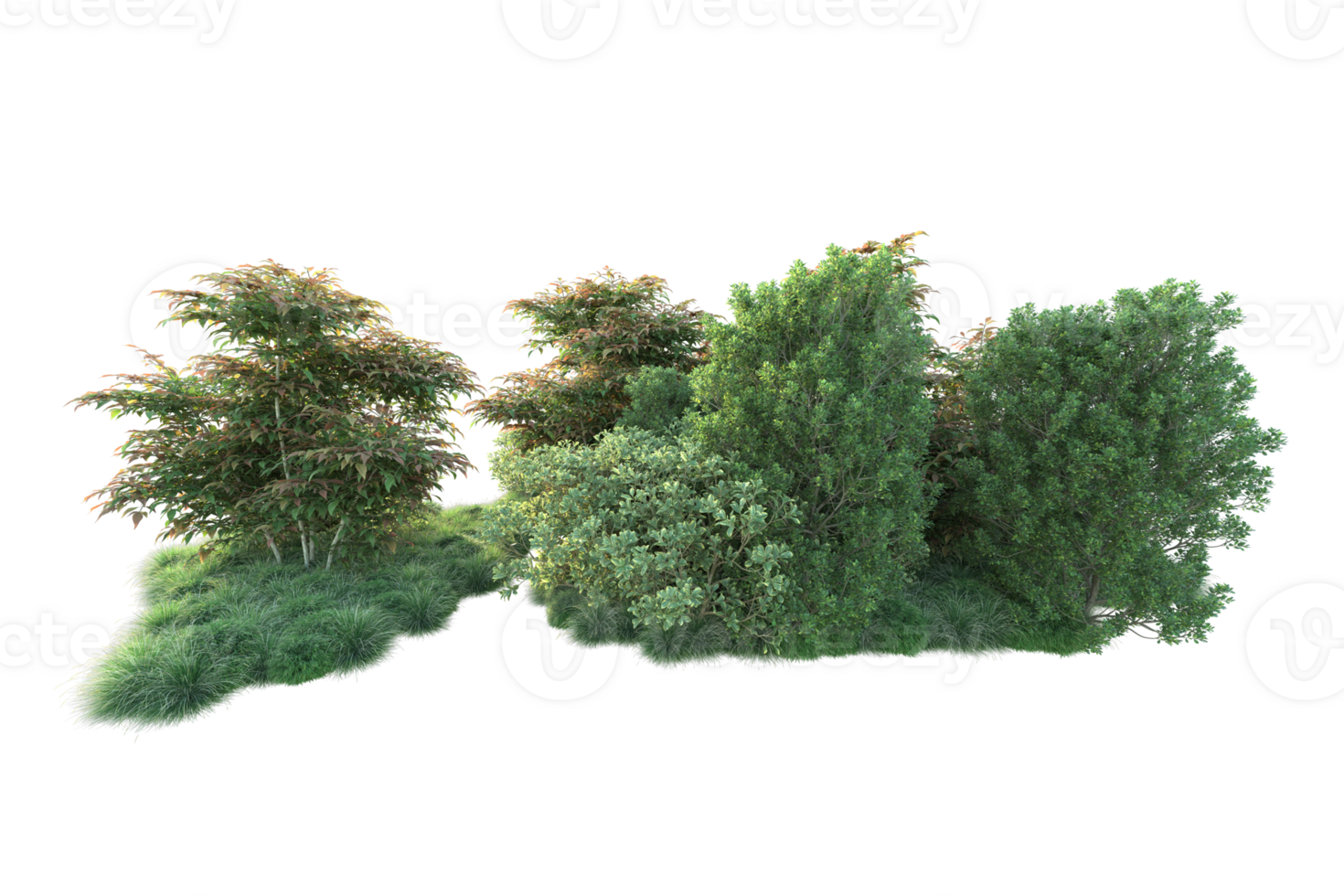 Tropical forest isolated on transparent background. 3d rendering - illustration png