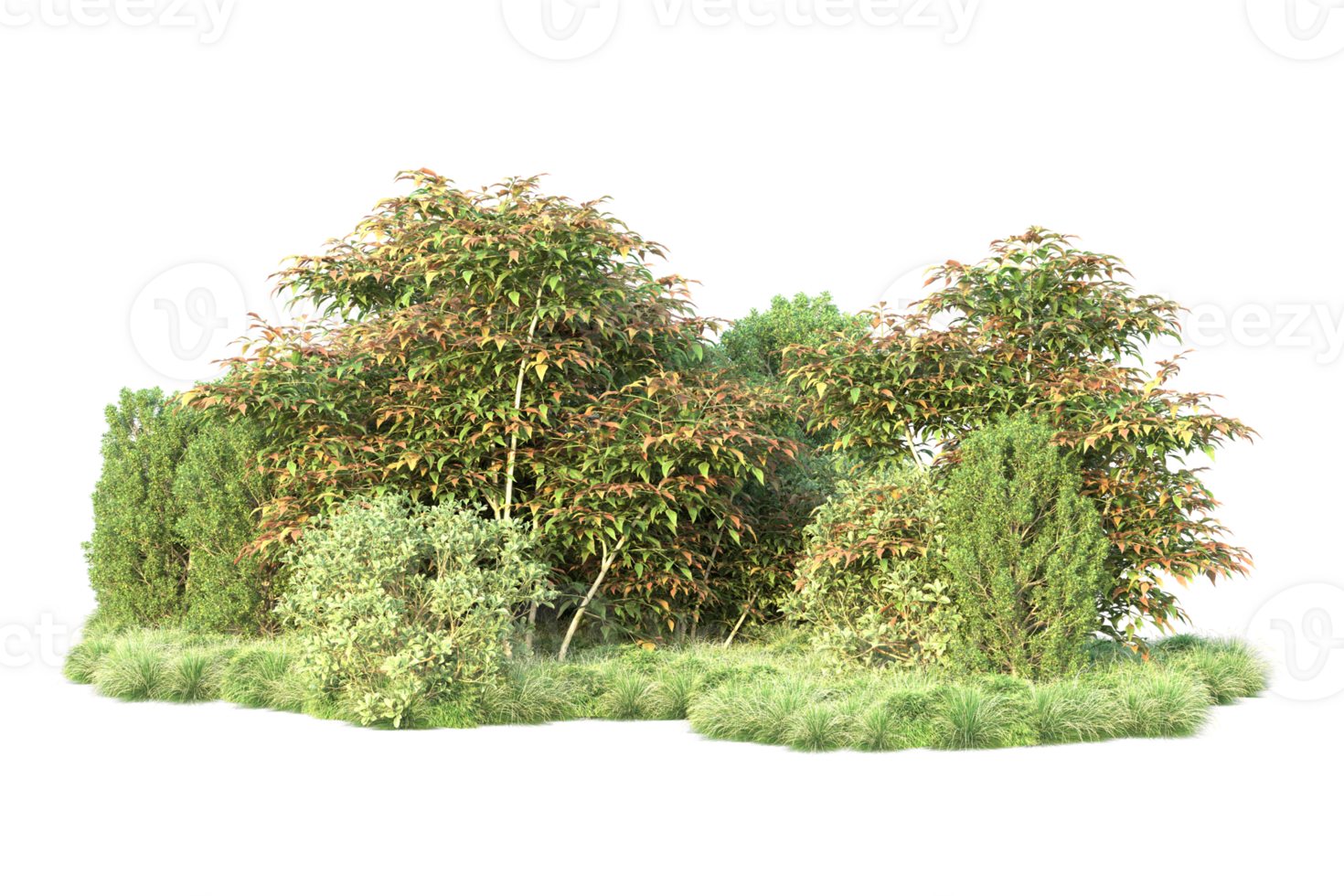 Tropical forest isolated on transparent background. 3d rendering - illustration png