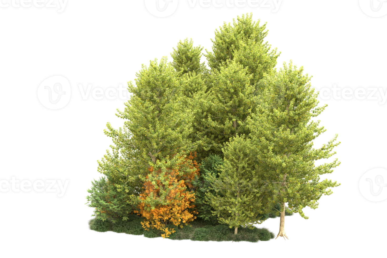 Tropical forest isolated on transparent background. 3d rendering - illustration png