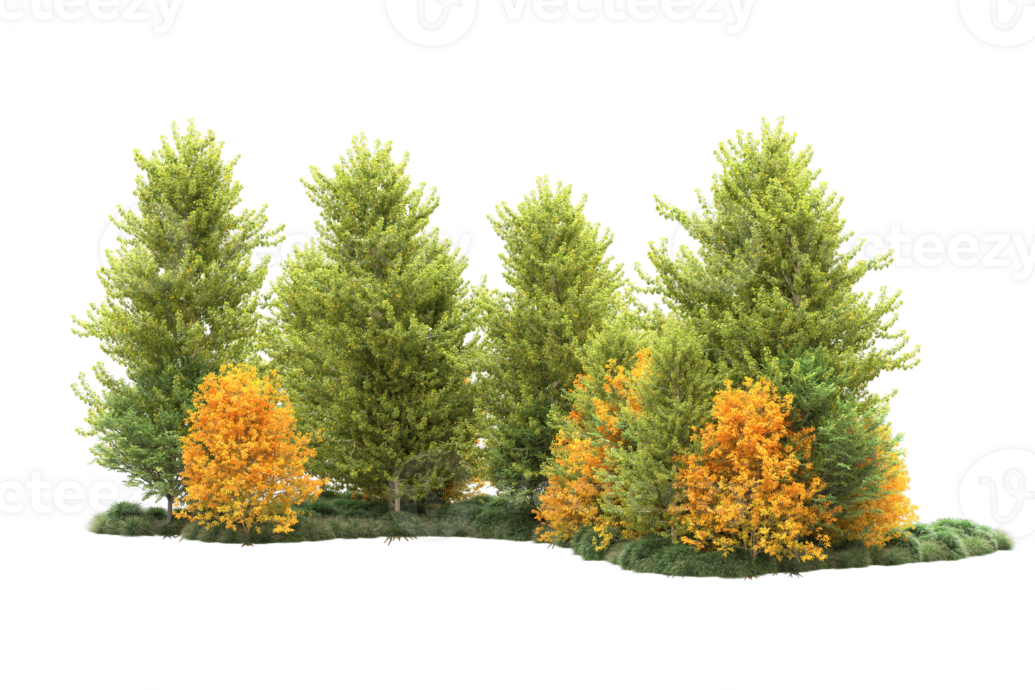 Tropical forest isolated on transparent background. 3d rendering - illustration png