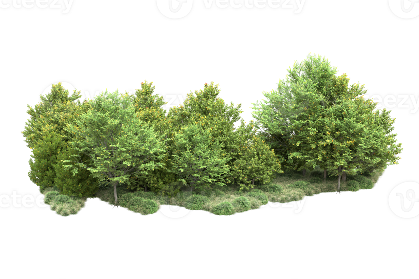 Tropical forest isolated on transparent background. 3d rendering - illustration png