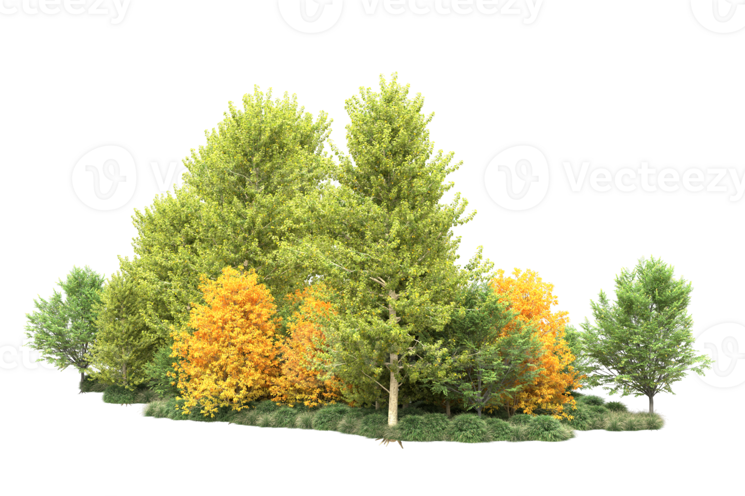 Tropical forest isolated on transparent background. 3d rendering - illustration png