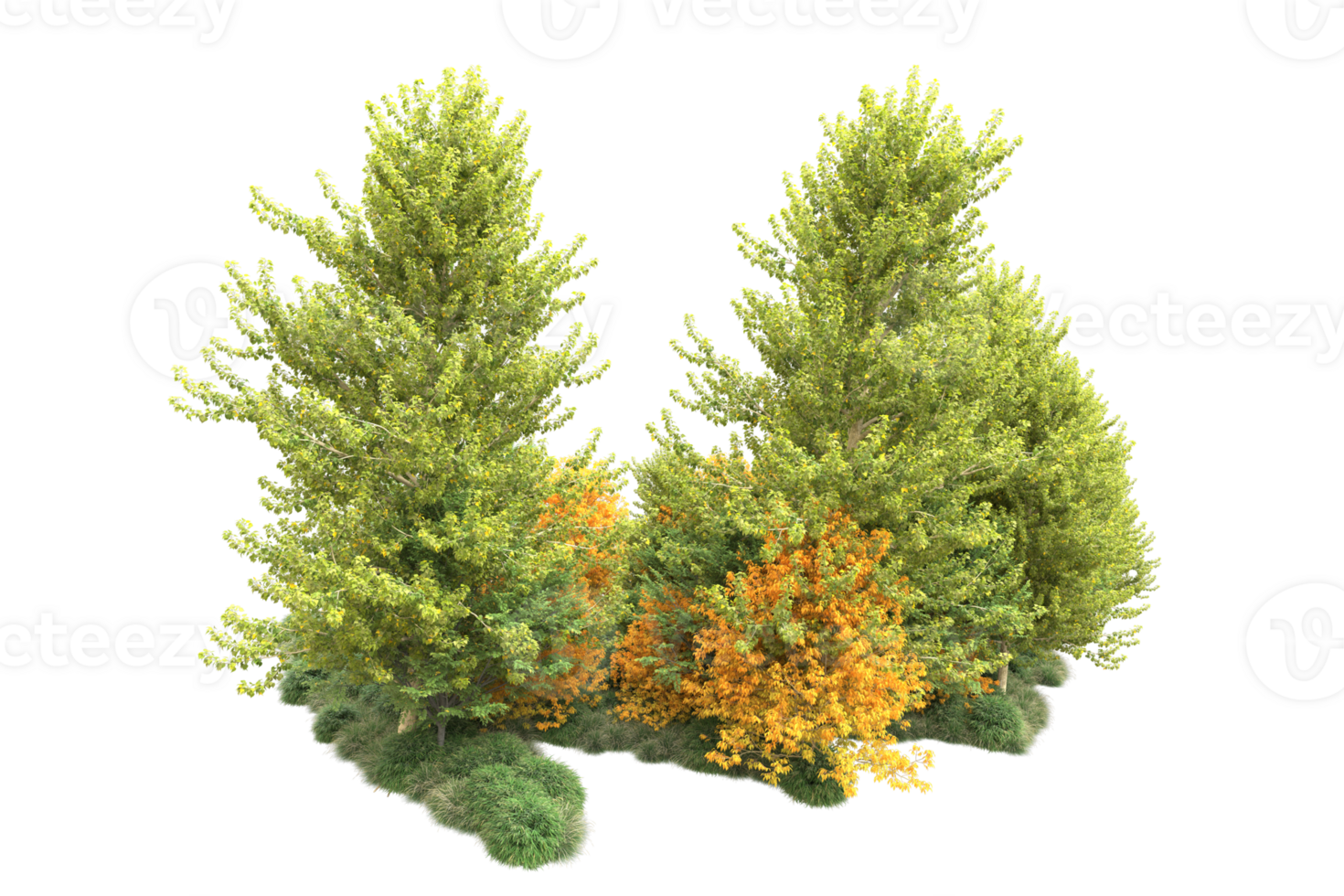Tropical forest isolated on transparent background. 3d rendering - illustration png