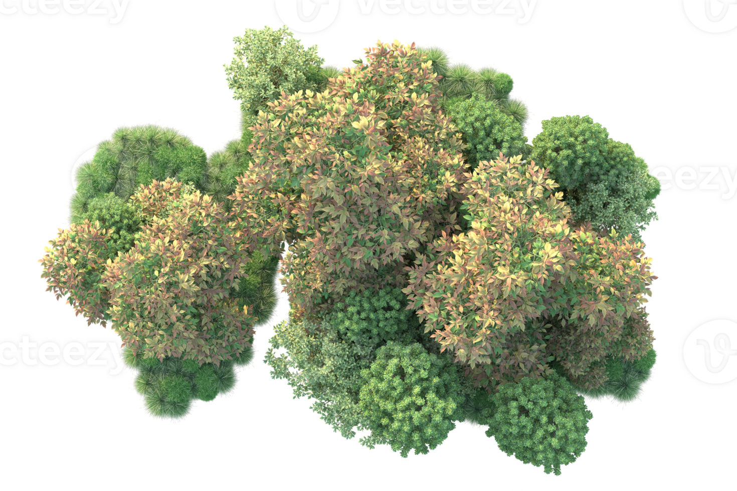 Tropical forest isolated on transparent background. 3d rendering - illustration png