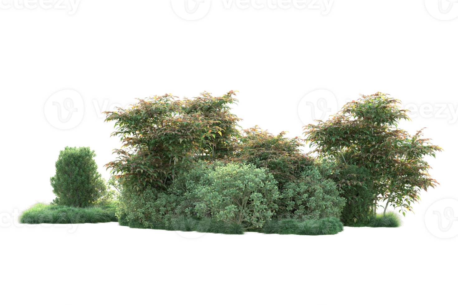 Tropical forest isolated on transparent background. 3d rendering - illustration png