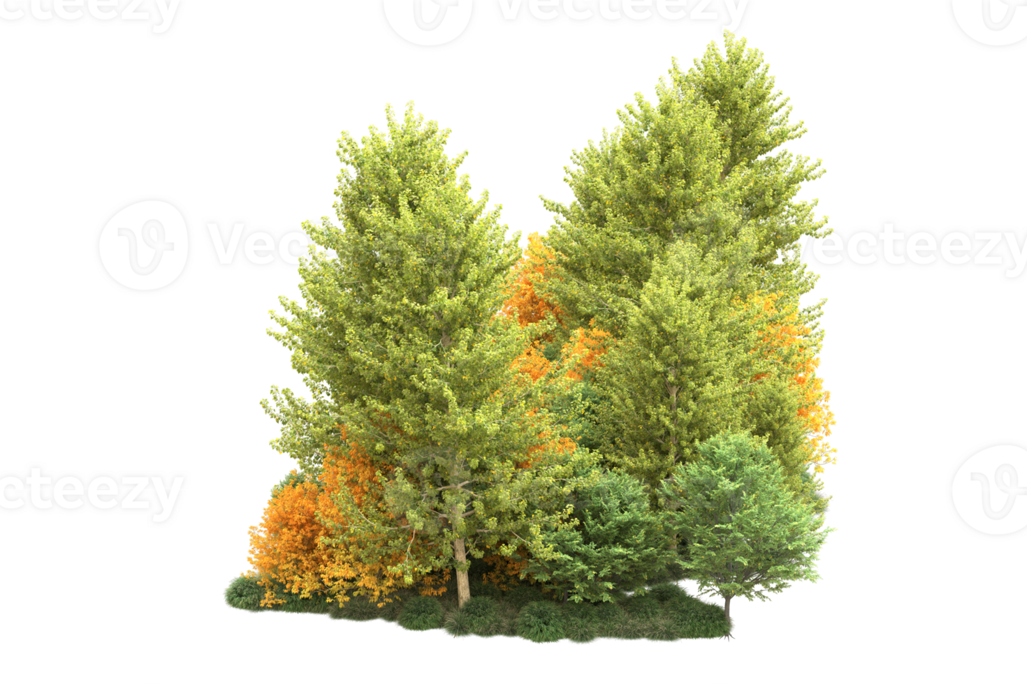 Tropical forest isolated on transparent background. 3d rendering - illustration png