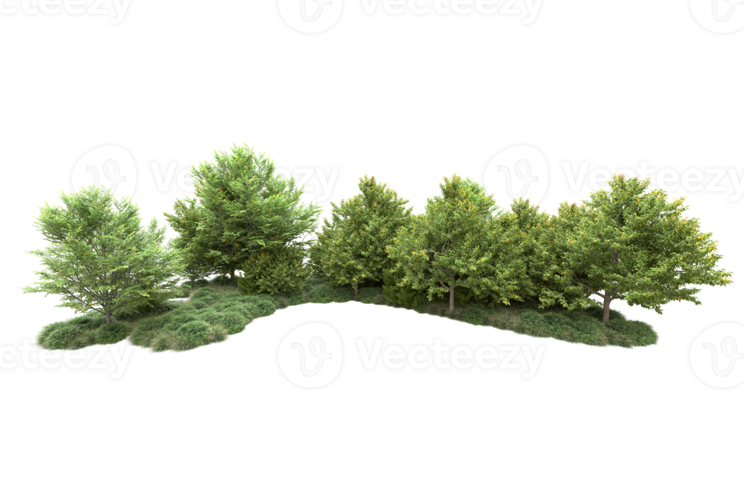 Tropical forest isolated on transparent background. 3d rendering - illustration png