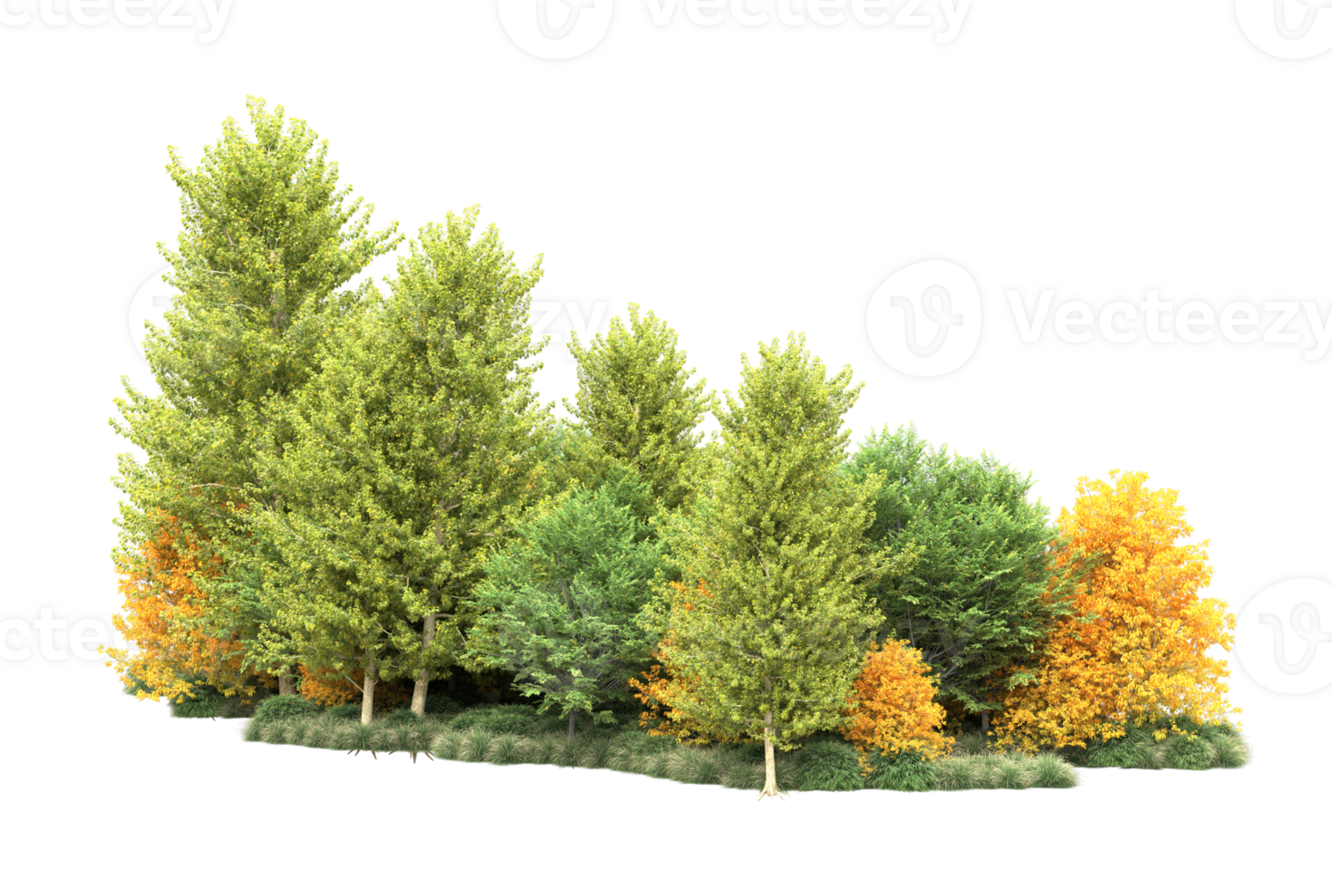 Tropical forest isolated on transparent background. 3d rendering - illustration png