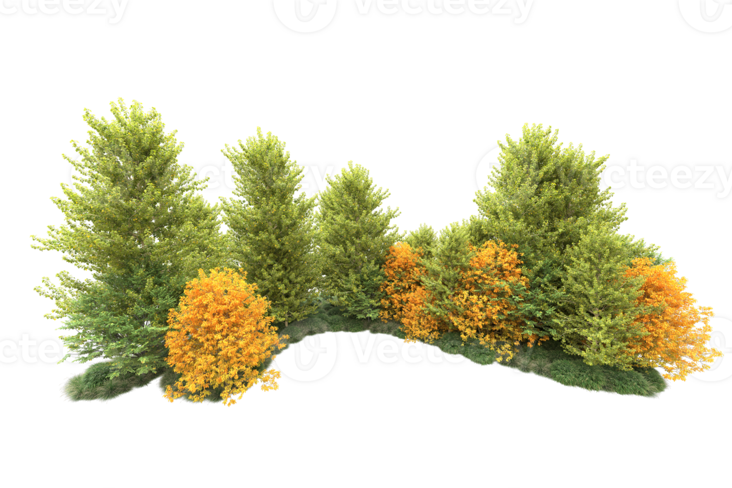 Tropical forest isolated on transparent background. 3d rendering - illustration png