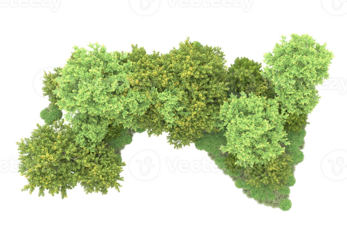 Tropical forest isolated on transparent background. 3d rendering - illustration png