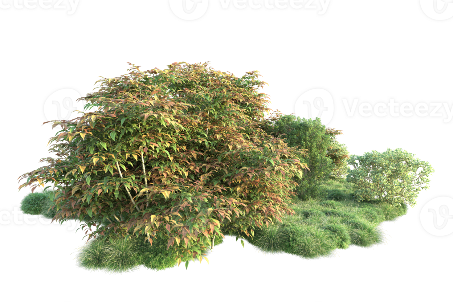 Tropical forest isolated on transparent background. 3d rendering - illustration png
