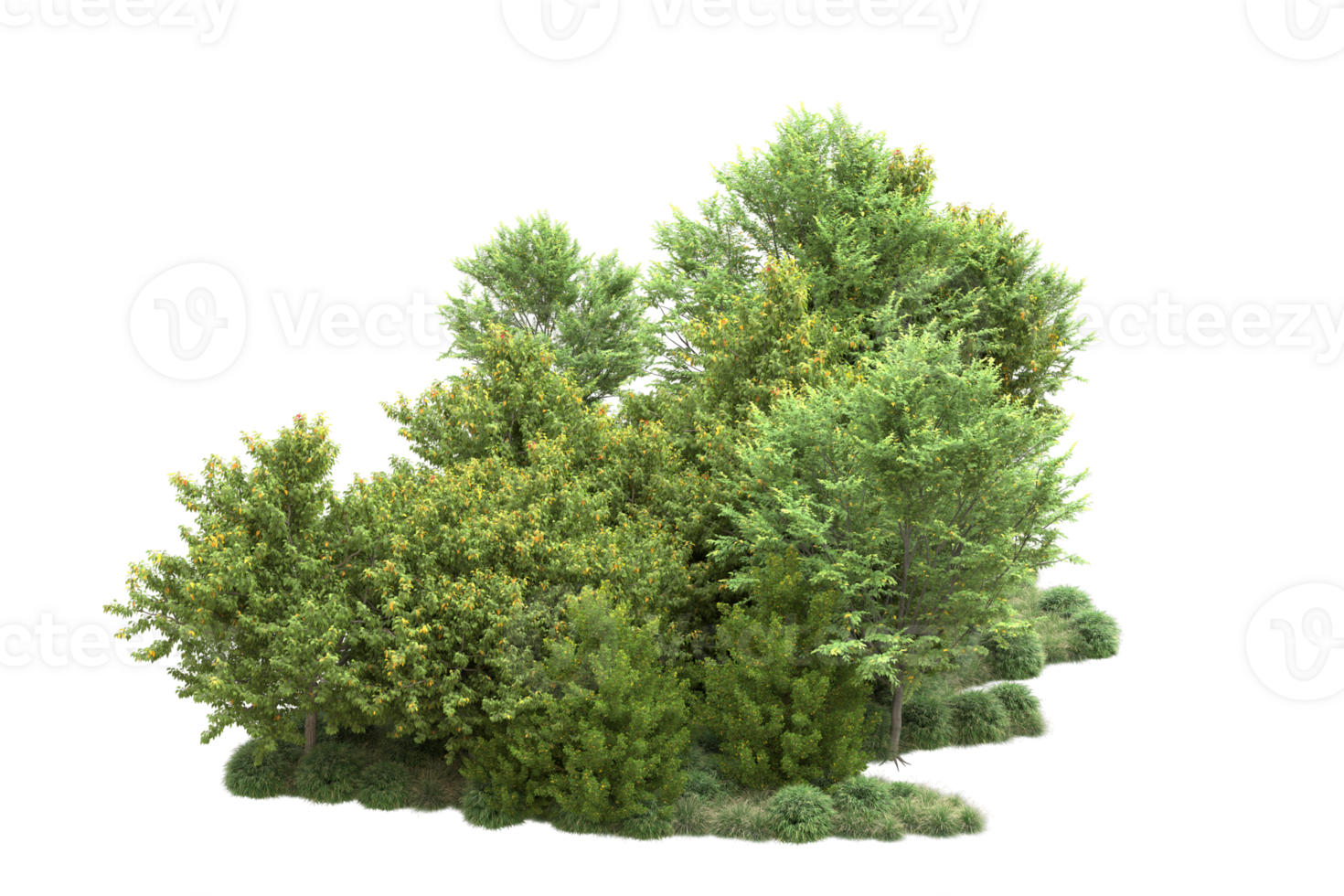 Tropical forest isolated on transparent background. 3d rendering - illustration png