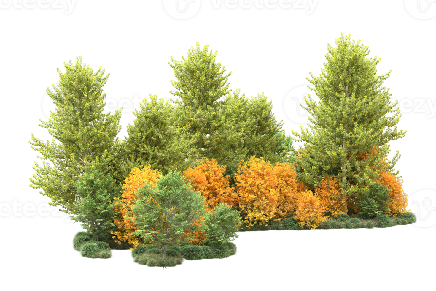 Tropical forest isolated on transparent background. 3d rendering - illustration png